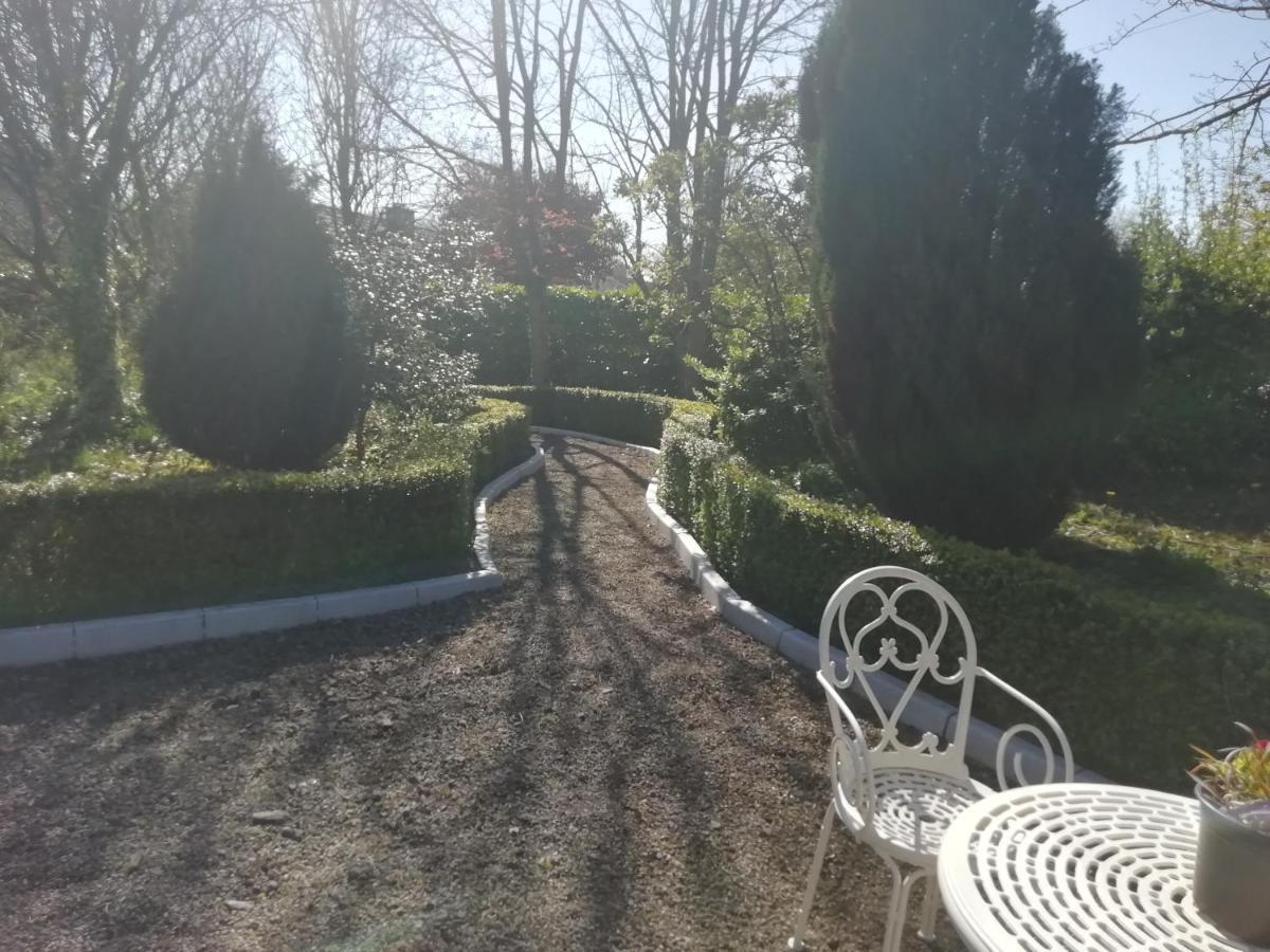 Killenard Self Catering Accommodation 外观 照片