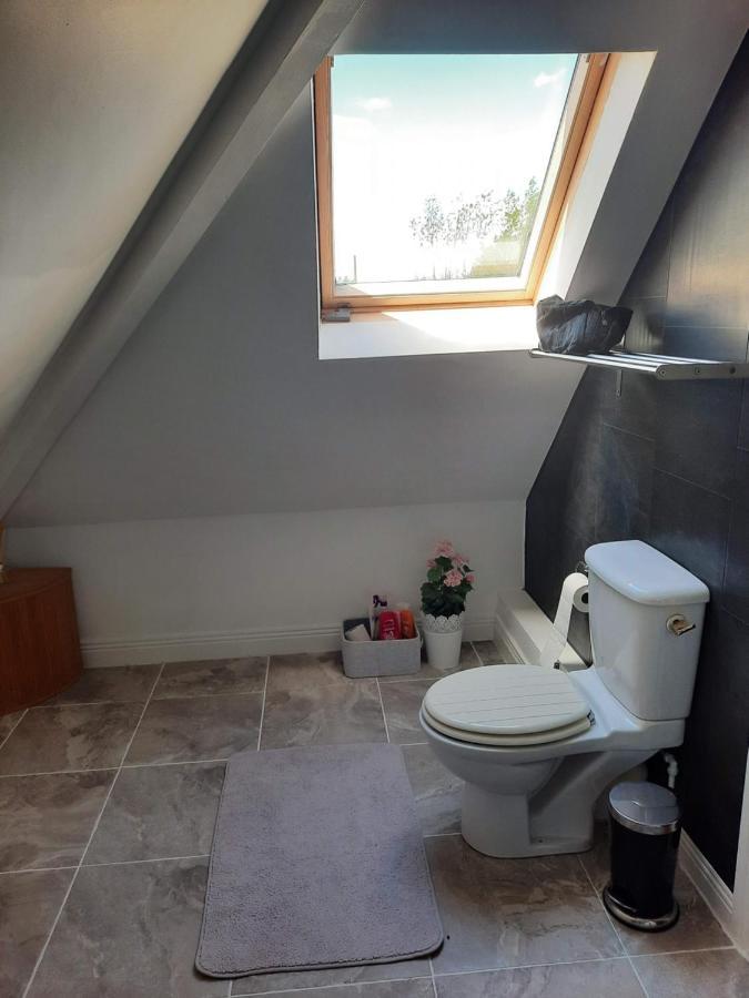 Killenard Self Catering Accommodation 外观 照片